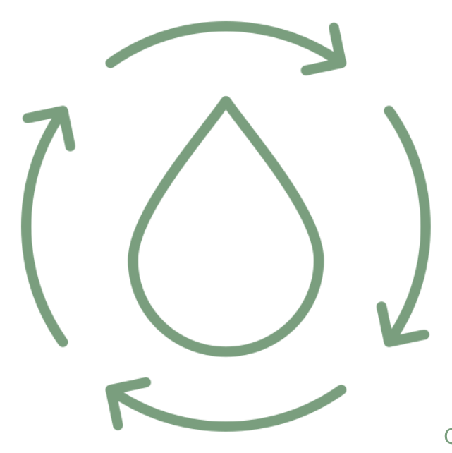 Microcirculation